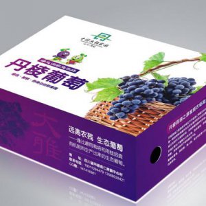 包裝設計品牌論｜產(chǎn)品包裝設計對企業(yè)品牌價(jià)值提升的重要性