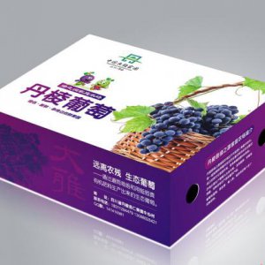 食品包裝創(chuàng  )意設計的三大基本要求