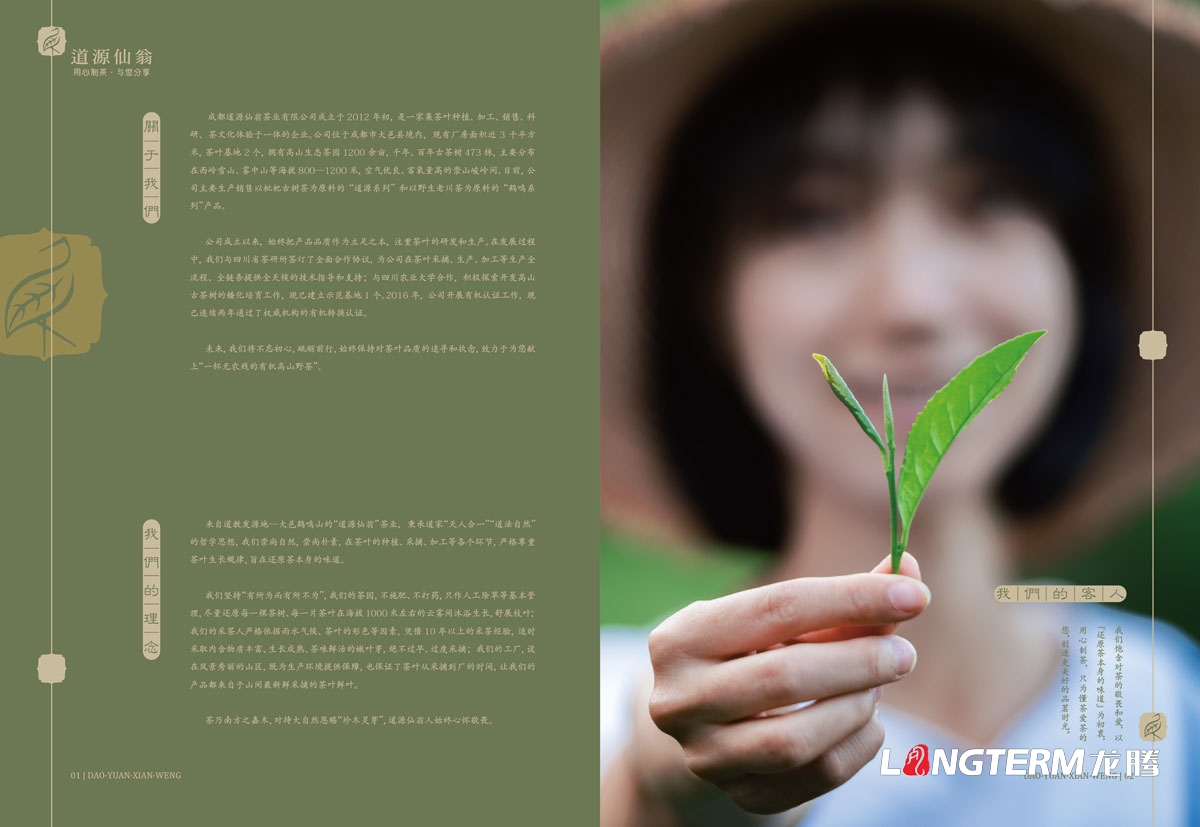 成都道源仙翁茶業(yè)有限公司茶葉宣傳設計_大邑縣茶葉產(chǎn)品宣傳手冊設計公司_茶葉公司企業(yè)形象宣傳畫(huà)冊設計