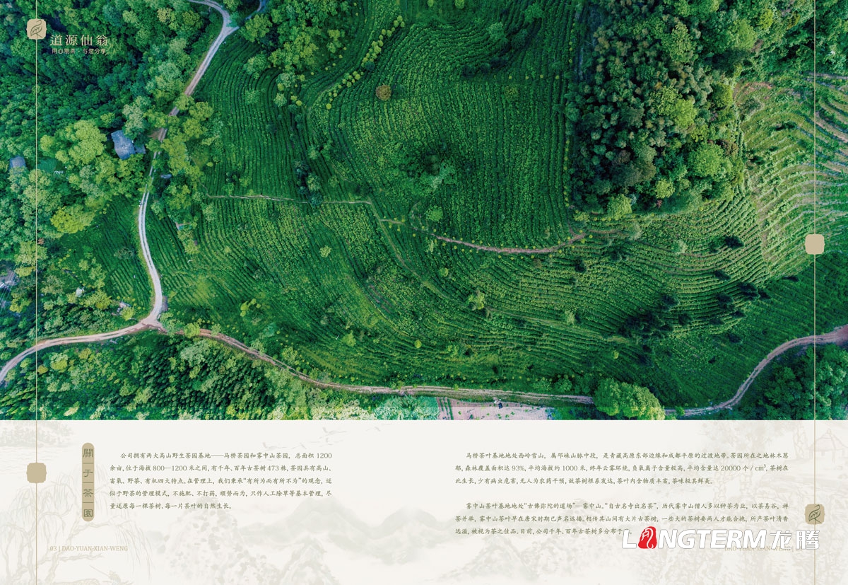 成都道源仙翁茶業(yè)有限公司茶葉宣傳設計_大邑縣茶葉產(chǎn)品宣傳手冊設計公司_茶葉公司企業(yè)形象宣傳畫(huà)冊設計