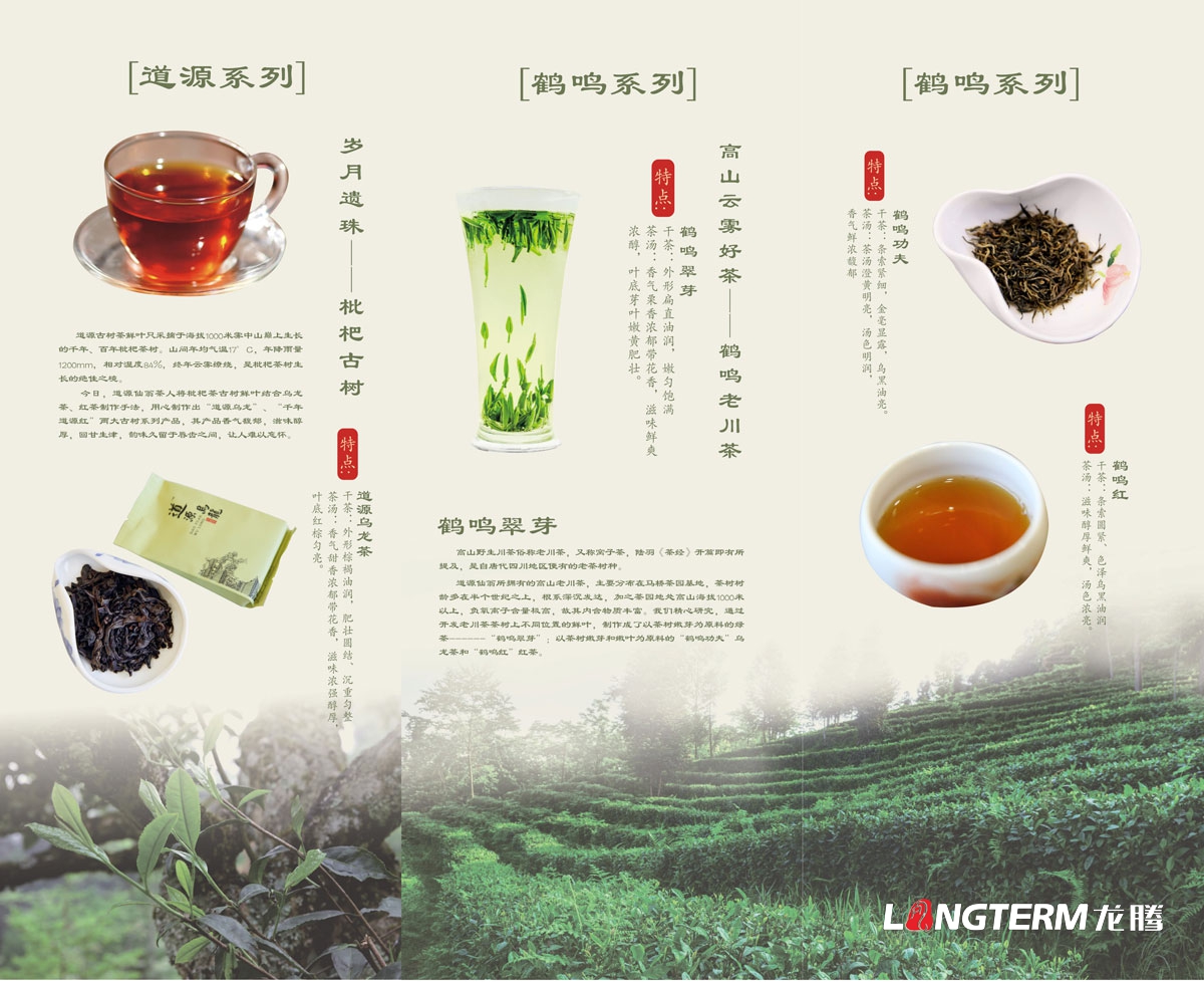 道源仙翁茶業(yè)公司三折頁(yè)廣告設計_成都道源仙翁茶業(yè)有限公司宣傳物料設計_大邑縣茶葉廣告設計公司