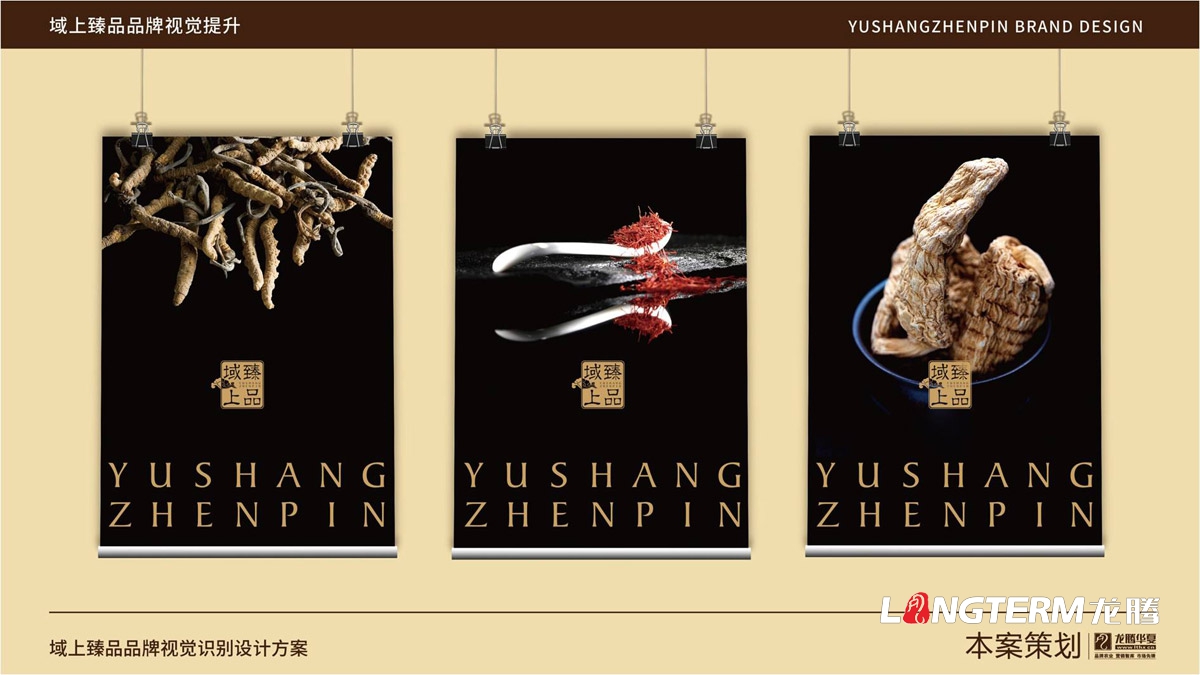 域上臻品品牌logo及vi形象設計_成都企業(yè)品牌標志商標創(chuàng  )意視覺(jué)提升方案_品牌視覺(jué)符號提煉及字體設計