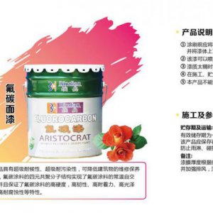 成都企業(yè)產(chǎn)品畫(huà)冊設計公司