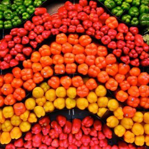 四川特色農產(chǎn)品品牌營(yíng)銷(xiāo)策略一覽