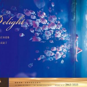 消費者到底要的是品牌還是品類(lèi)？