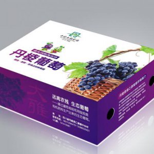 紅酒包裝設計怎樣更吸引大家眼球？
