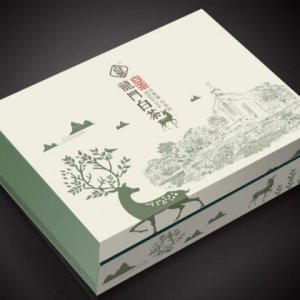 品牌營(yíng)銷(xiāo)對傳統企業(yè)發(fā)展的影響