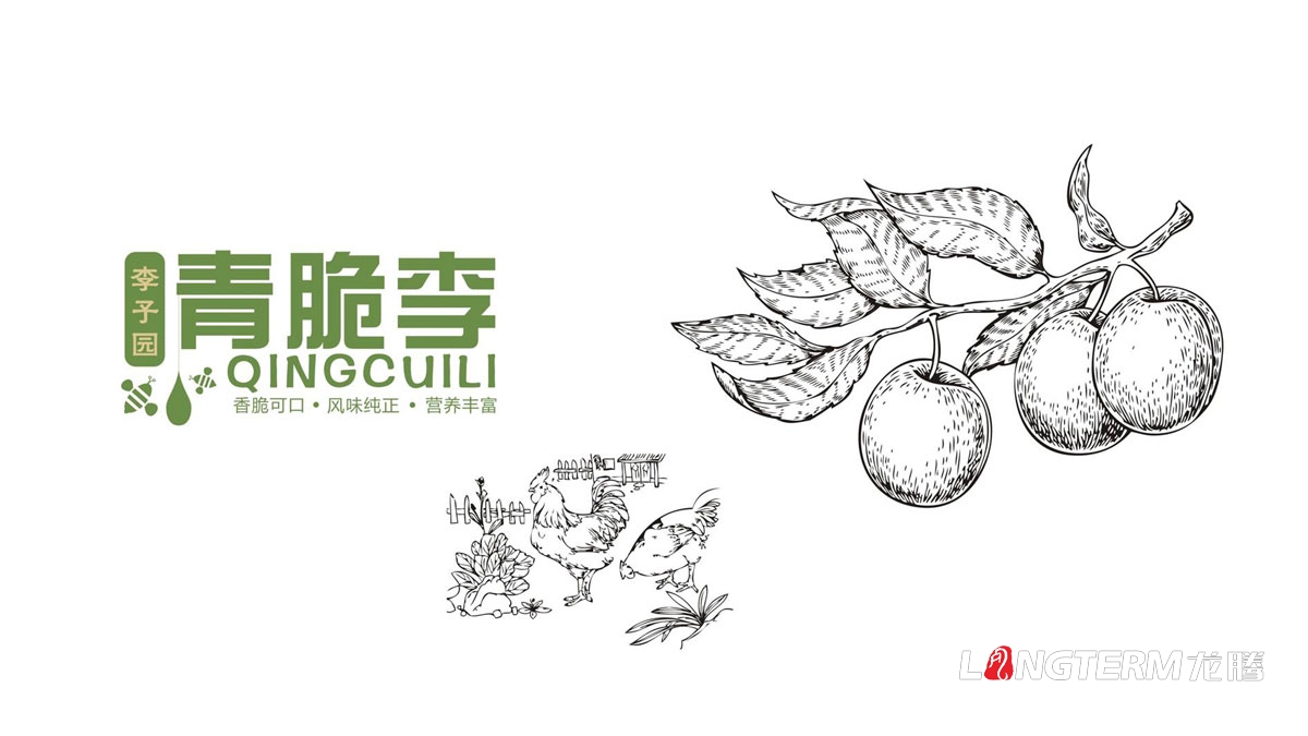 《清脆李》李子包裝設計|四川成都水果彩印彩箱包裝盒設計公司
