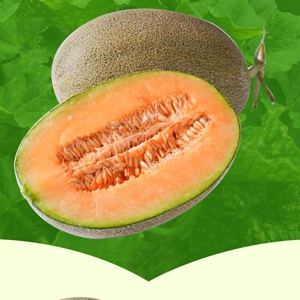 庫爾勒千合農業(yè)開(kāi)發(fā)有限公司委托龍騰設計電商產(chǎn)品詳情頁(yè)