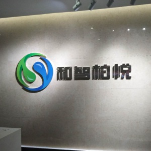 成都和智柏悅科技有限公司logo設計正在進(jìn)行中