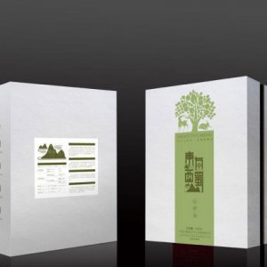 成都企業(yè)品牌策劃公司哪家好？