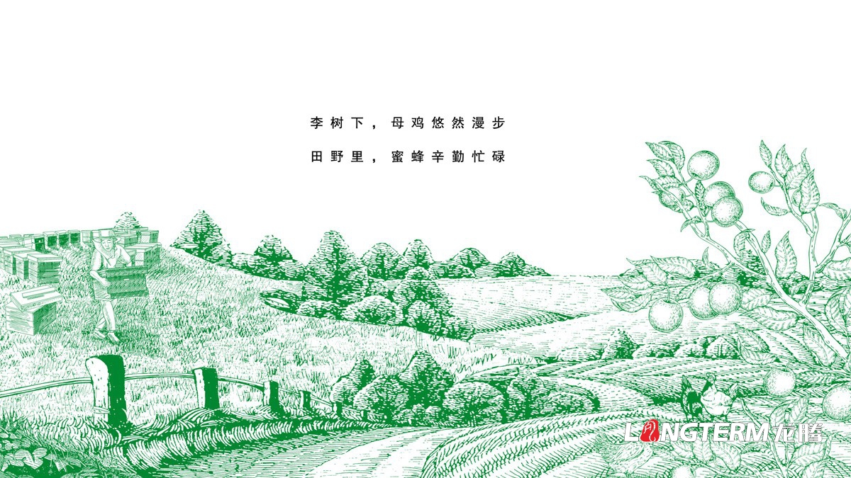 達州市大竹縣李子園水果包裝箱設計公司_李子禮盒彩箱手繪原創(chuàng  )設計效果圖