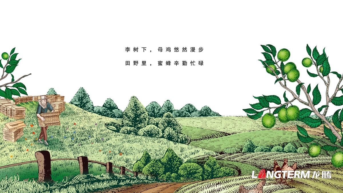 達州市大竹縣李子園水果包裝箱設計公司_李子禮盒彩箱手繪原創(chuàng  )設計效果圖