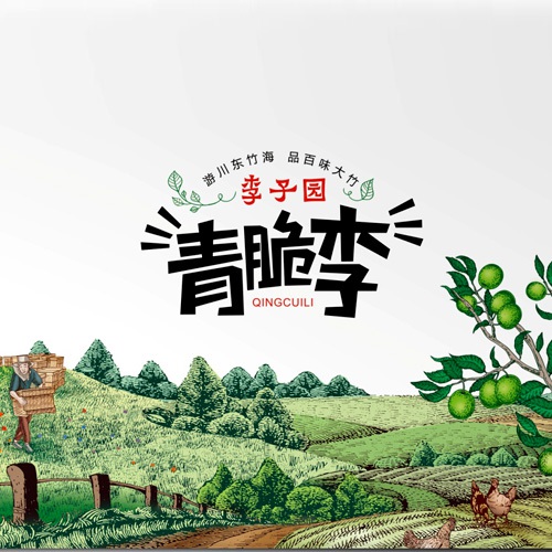水果包裝設計-達州市大竹縣李子園水果包裝箱設計公司_李子禮盒彩箱手繪原創(chuàng  )設計效果圖
