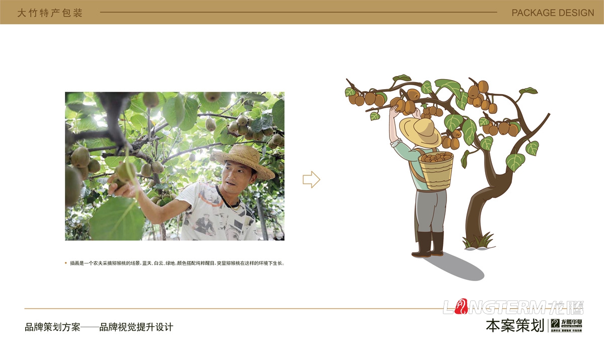 大竹特產(chǎn)紅心獼猴桃水果包裝設計_農產(chǎn)品快遞盒包裝箱設計公司