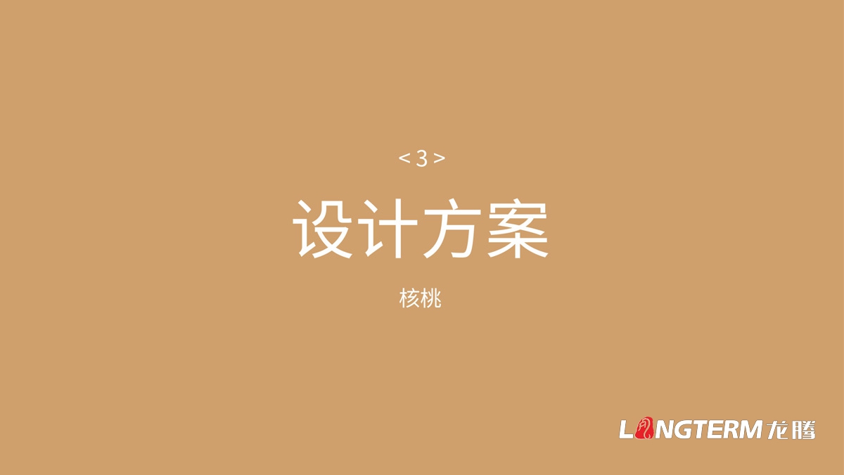 大竹縣核桃精品禮品盒包裝設計公司_地方特色農產(chǎn)品包裝效果方案