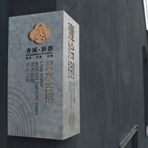 龍騰分享營(yíng)銷(xiāo)策劃對企業(yè)有什么作用？