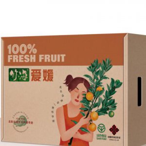 品牌包裝盒子的設計如何體現時(shí)尚？