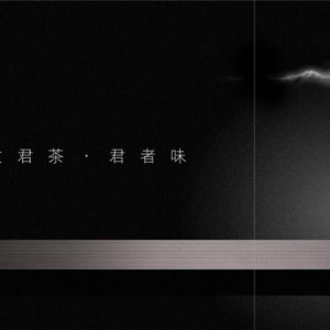 品牌設計在定方案時(shí)要做些什么？