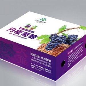企業(yè)logo字體設計原則與辦法