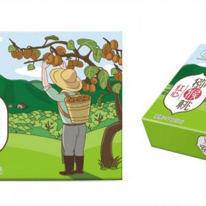品牌發(fā)展戰略的基本模式