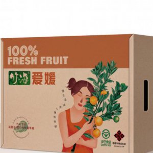 品牌形象識別設計手冊重要性