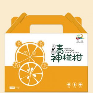 網(wǎng)絡(luò )廣告策劃的流程
