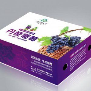 品牌形象包括哪些？