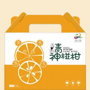 市場(chǎng)營(yíng)銷(xiāo)策劃的5個(gè)步驟