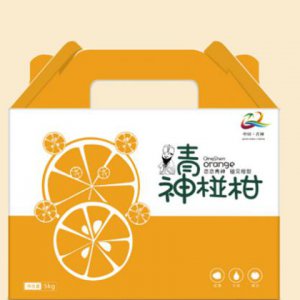 旅游品牌設計是什么？