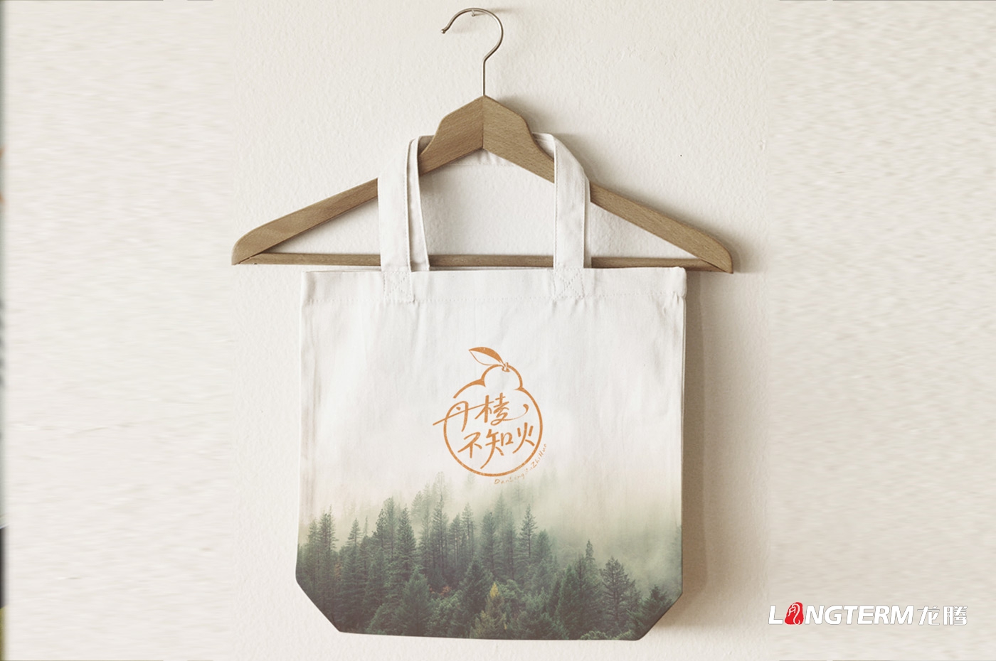 丹棱不知火品牌形象升級設計_眉山市丑柑桔橙水果產(chǎn)品品牌視覺(jué)識別系統LOGO及包裝設計