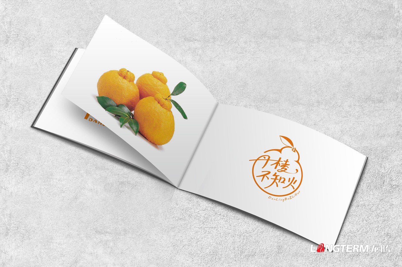 丹棱不知火品牌形象升級設計_眉山市丑柑桔橙水果產(chǎn)品品牌視覺(jué)識別系統LOGO及包裝設計
