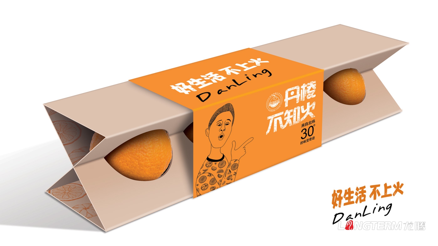 丹棱不知火品牌形象升級設計_眉山市丑柑桔橙水果產(chǎn)品品牌視覺(jué)識別系統LOGO及包裝設計