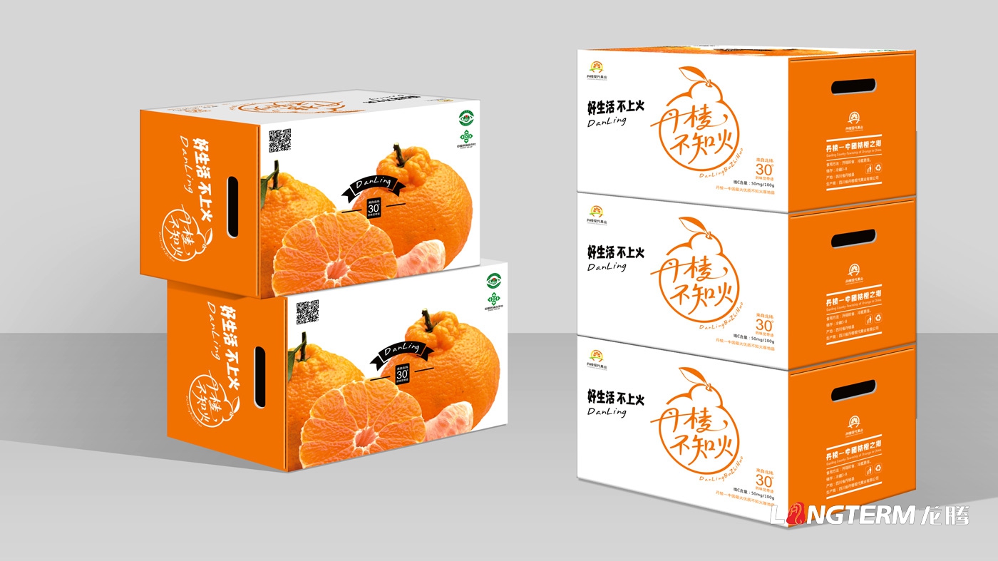 丹棱不知火品牌形象升級設計_眉山市丑柑桔橙水果產(chǎn)品品牌視覺(jué)識別系統LOGO及包裝設計