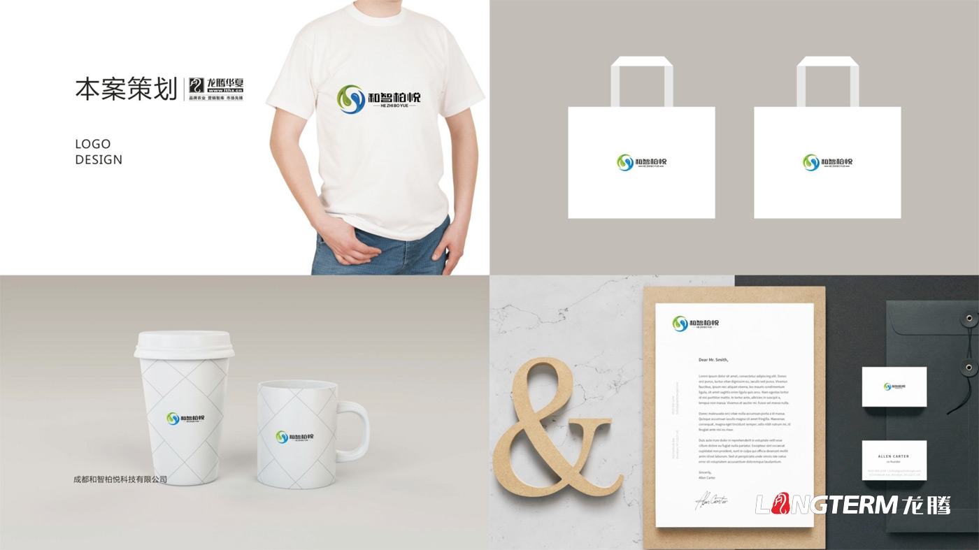 成都和智柏悅科技有限公司LOGO設計_四川科技企業(yè)品牌形象VI視覺(jué)設計