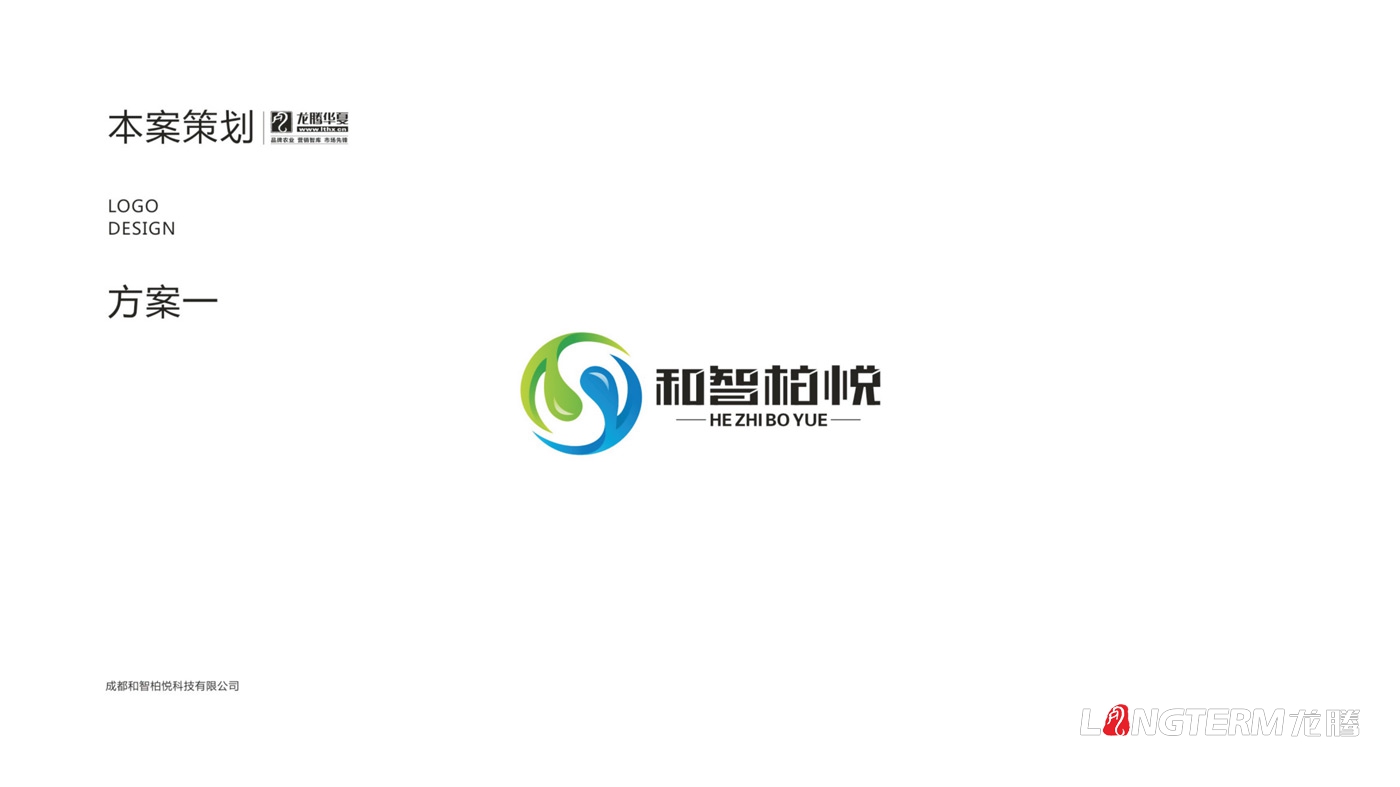 成都和智柏悅科技有限公司LOGO設計_四川科技企業(yè)品牌形象VI視覺(jué)設計