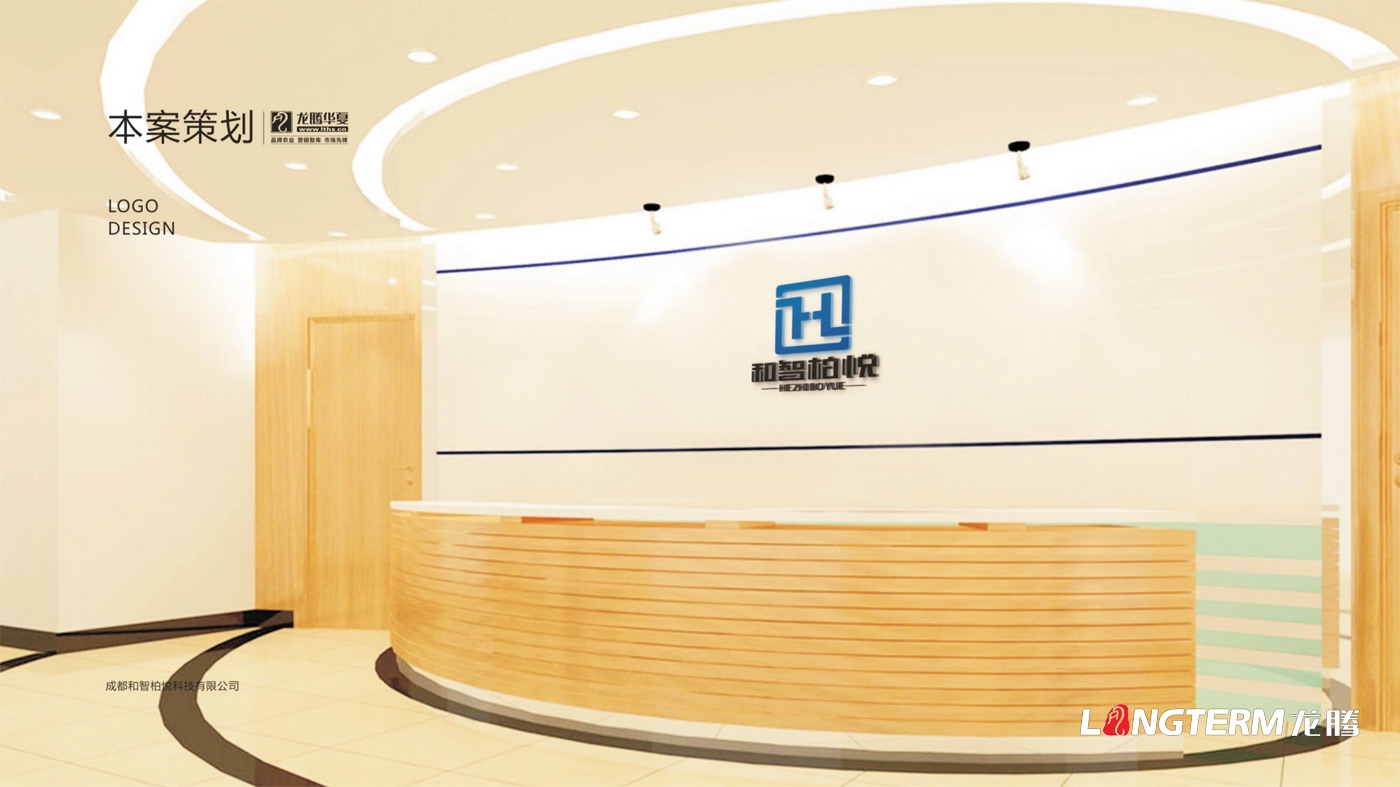 成都和智柏悅科技有限公司LOGO設計_四川科技企業(yè)品牌形象VI視覺(jué)設計