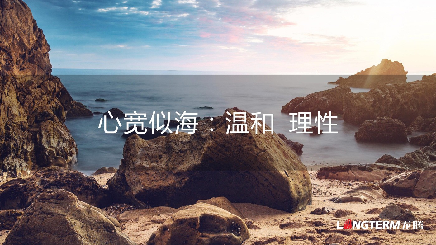 四川海巖聲學(xué)科技有限公司LOGO設計_成都科技企業(yè)品牌視覺(jué)形象識別系統設計及VI設計