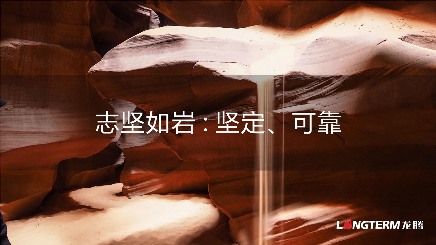 四川海巖聲學(xué)科技有限公司LOGO設計_成都科技企業(yè)品牌視覺(jué)形象識別系統設計及VI設計