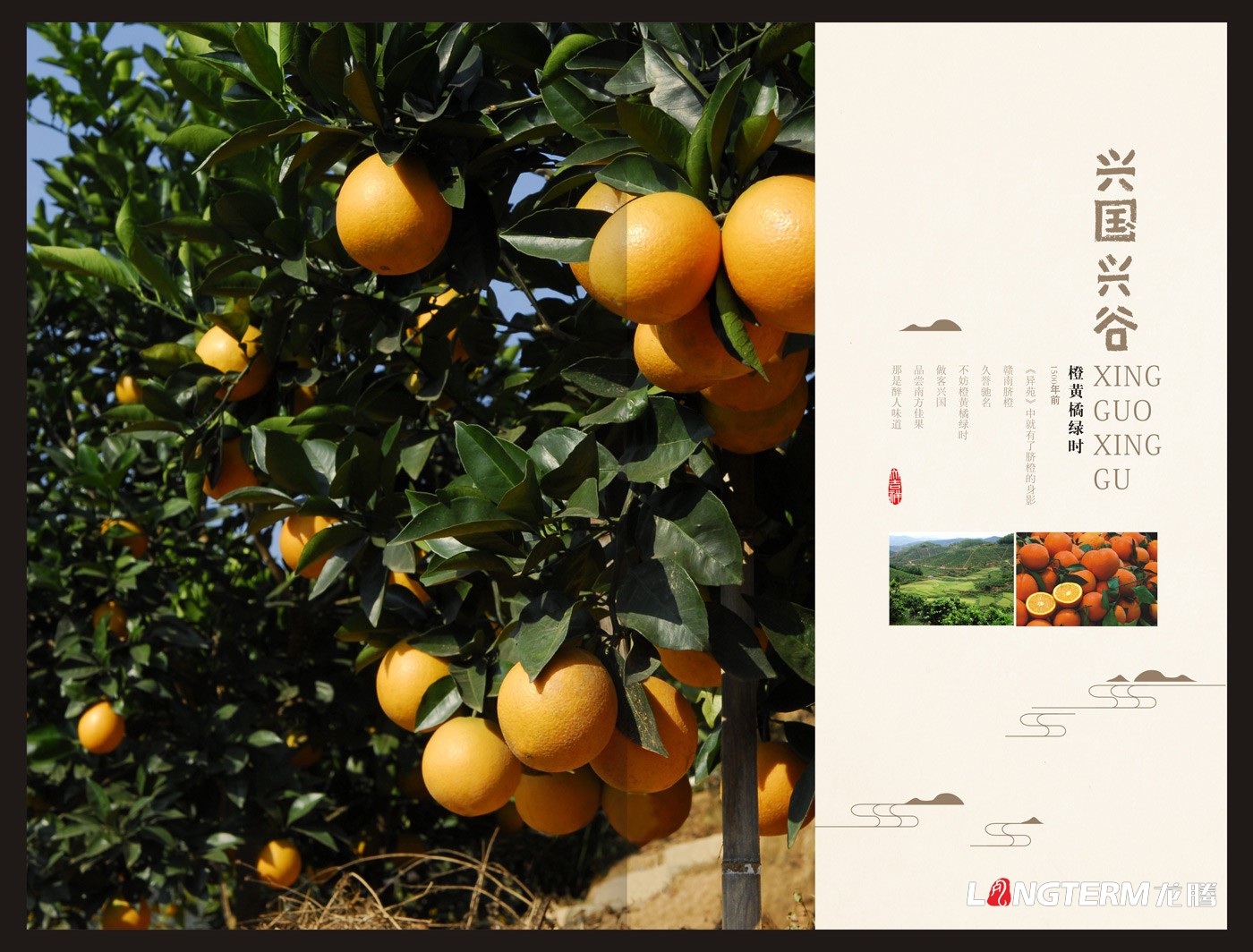 興國興谷農業(yè)企業(yè)形象宣傳畫(huà)冊設計_興國興谷農業(yè)發(fā)展有限公司宣傳手冊設計