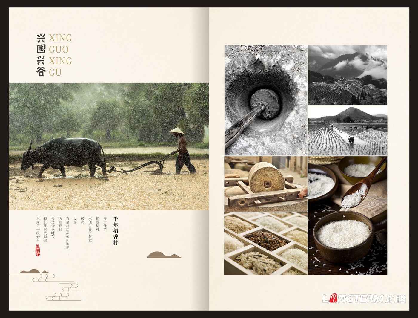興國興谷農業(yè)企業(yè)形象宣傳畫(huà)冊設計_興國興谷農業(yè)發(fā)展有限公司宣傳手冊設計