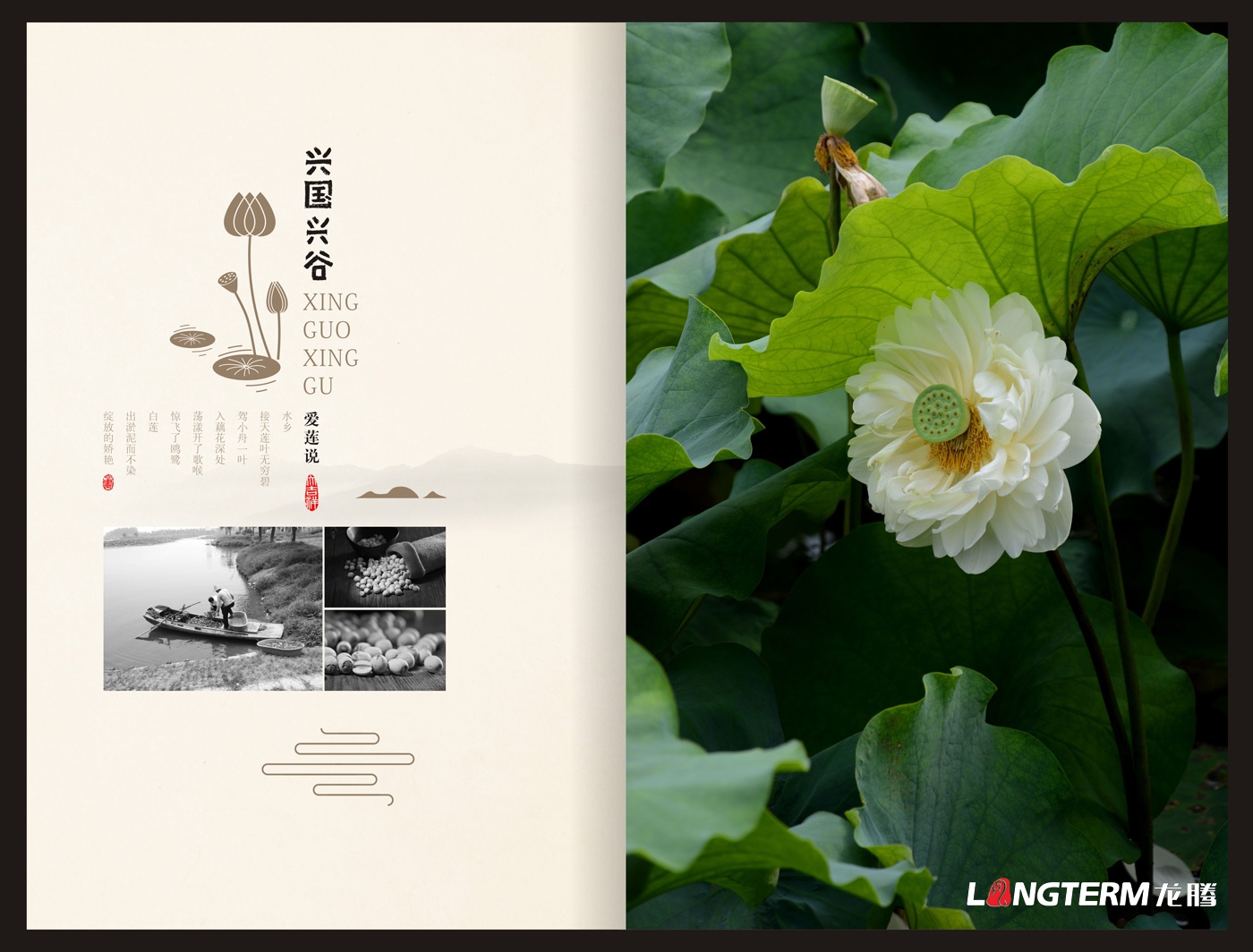 興國興谷農業(yè)企業(yè)形象宣傳畫(huà)冊設計_興國興谷農業(yè)發(fā)展有限公司宣傳手冊設計