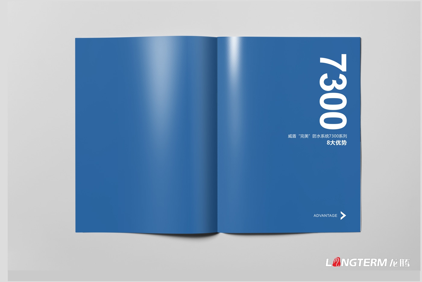 威盾防水產(chǎn)品手冊設計_四川省宏源防水工程有限公司_宏源防水宣傳畫(huà)冊設計