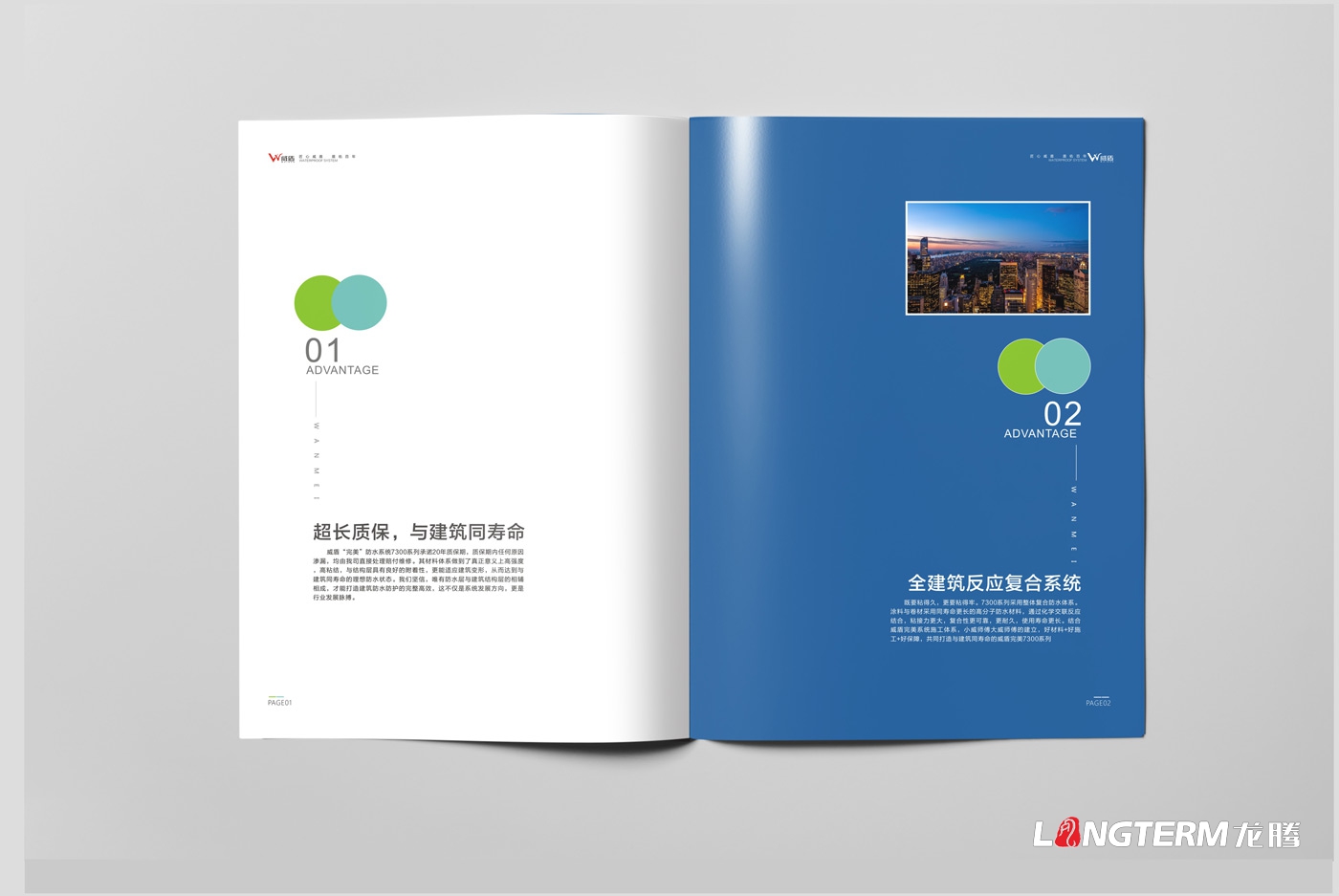 威盾防水產(chǎn)品手冊設計_四川省宏源防水工程有限公司_宏源防水宣傳畫(huà)冊設計