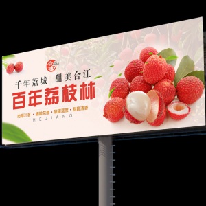 龍騰為合江縣農業(yè)局設計導視牌
