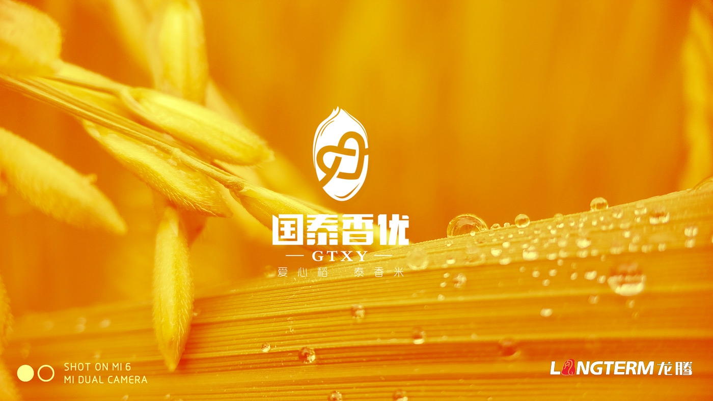 國泰香優(yōu)品牌LOGO及VI設計_四川眾智種業(yè)科技有限公司品牌形象設計