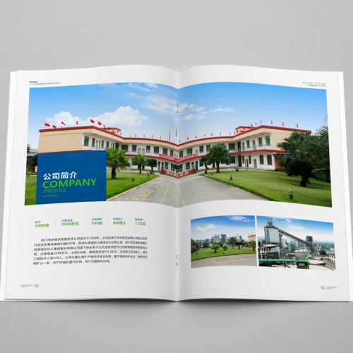 企業(yè)畫(huà)冊設計-四川同慶南風(fēng)有限責任公司宣傳畫(huà)冊設計